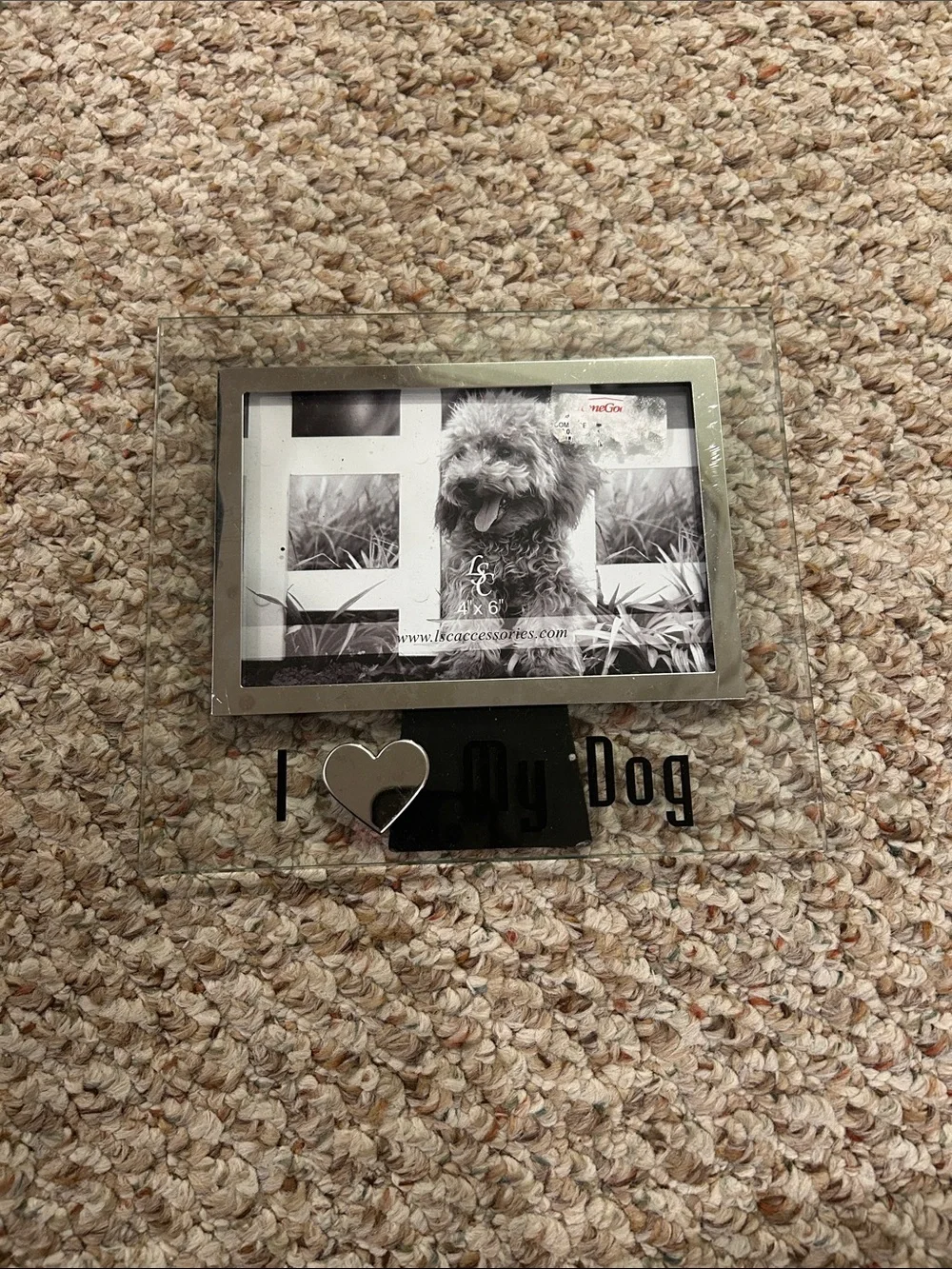Clear Glass 'I ♥ My Dog' Photo Frame - Silver Accent